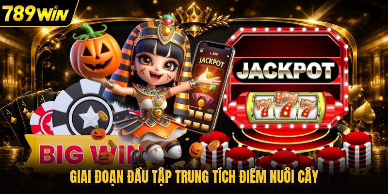 Giai đoạn đầu tập trung tích điểm nuôi cây