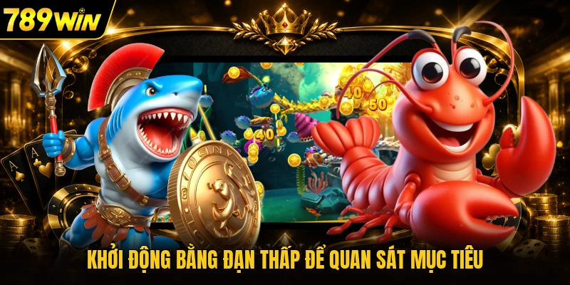 Khởi động bằng đạn thấp để quan sát mục tiêu